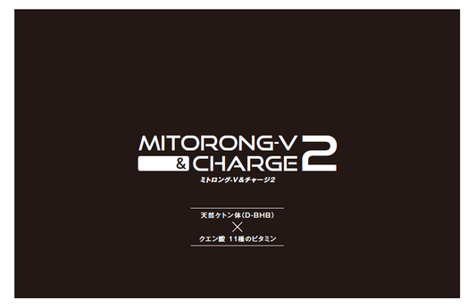 新発売 ミトロング-V&チャージ2