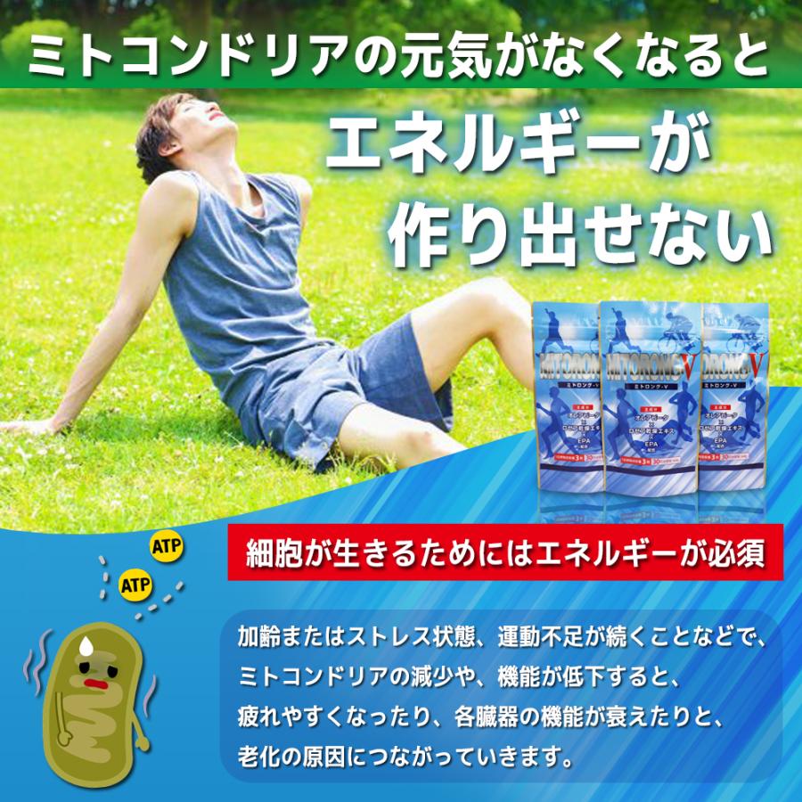 【定期購入 最大30%OFF・送料無料】ミトロング-V 30日分
