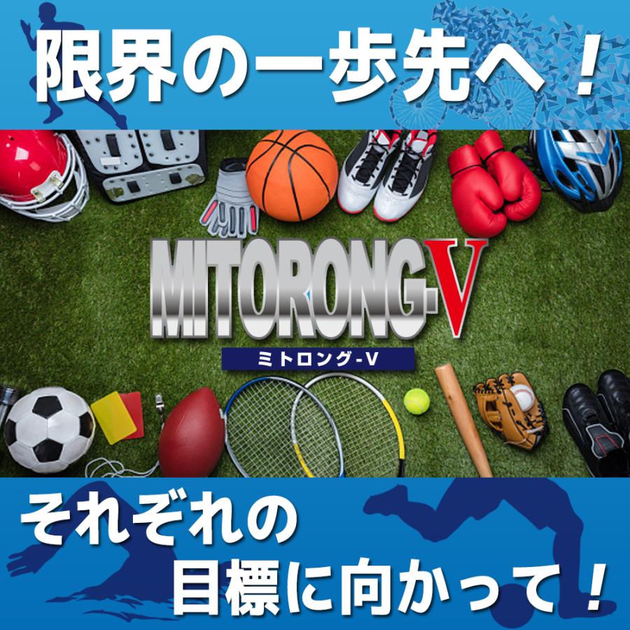 【定期購入 最大30%OFF・送料無料】ミトロング-V 30日分
