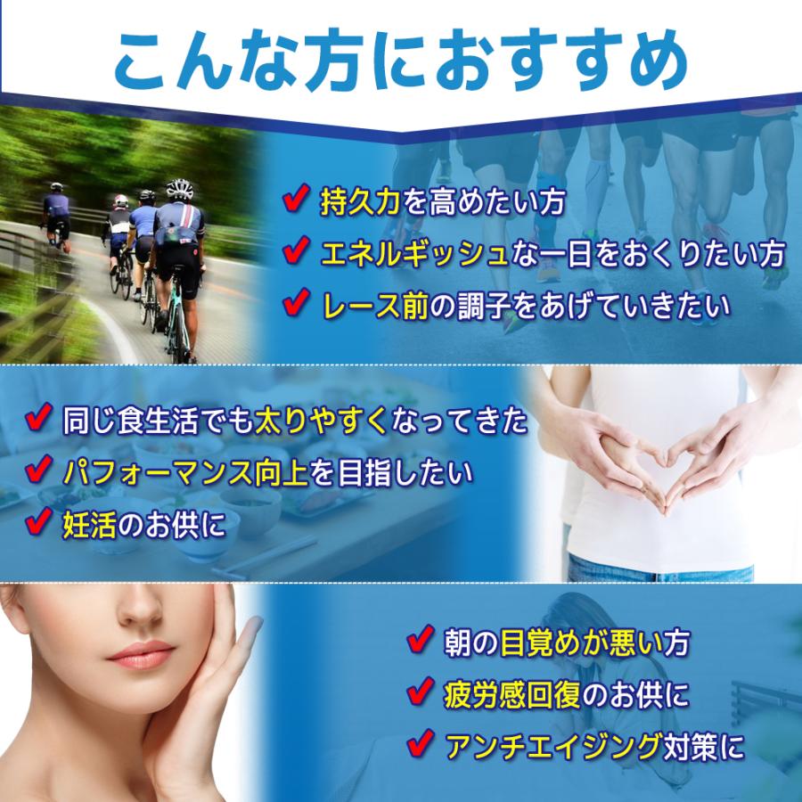 【定期購入 最大30%OFF・送料無料】ミトロング-V 30日分